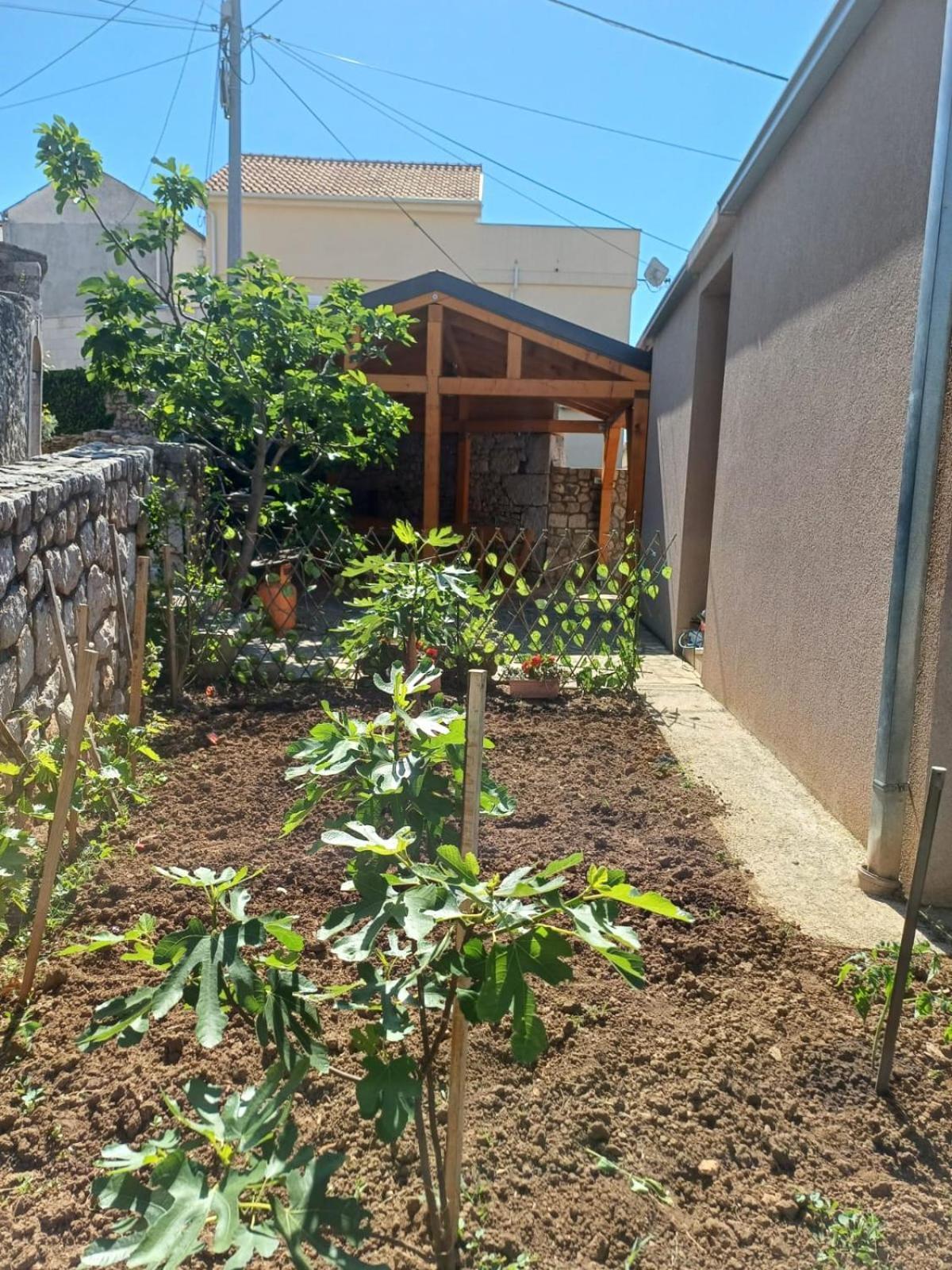 Apartmani Afrodita Crikvenica Exterior photo